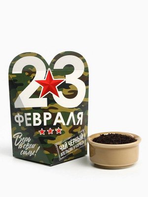 Чай подарочный «23 февраля», вкус: апельсин и корица, 50 г
