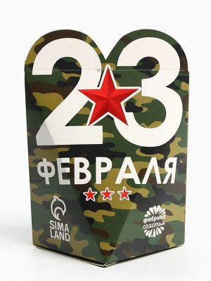Чай подарочный «23 февраля», вкус: апельсин и корица, 50 г