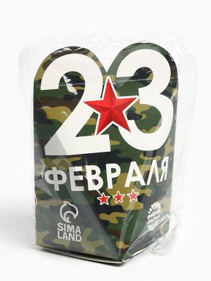 Чай подарочный «23 февраля», вкус: апельсин и корица, 50 г