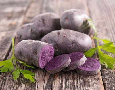 Сам себе садовод семенной картофель предзаказ