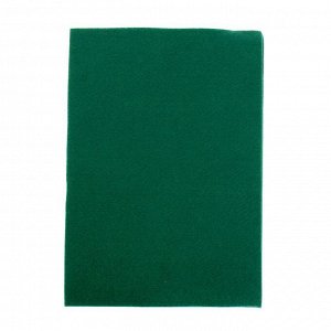 Фетр Soft зелёный, мягкий, 1 мм, 21х29.7 см, 10 листов