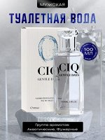 Туалетная вода мужская CIQ Gentle Days, 100 мл