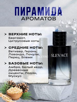 Туалетная вода мужская Slevace, 100 мл