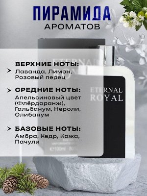 Туалетная вода мужская Eternal Royal, 100 мл