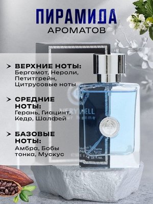 Туалетная вода мужская Verywell, 50 мл