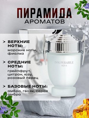 Туалетная вода мужская Courageous Silver, 100 мл