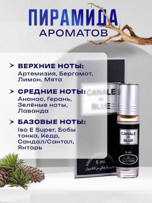 Духи масляные мужские Canale Di Blue, 6 мл