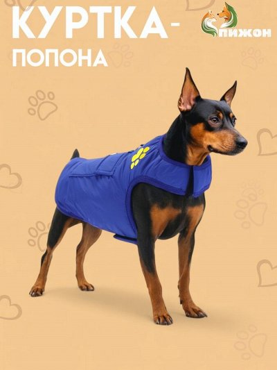Пижон — всё для любимых питомцев