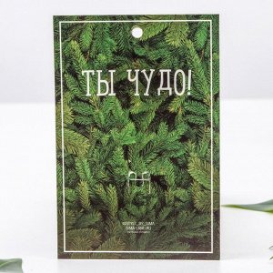 Брошь «Лягушка», цвет сине-зелёный в чернёном серебре