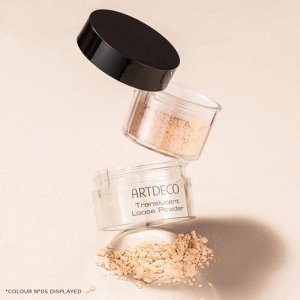 Пудра рассыпчатая Translucent Loose Powder, тон 02 прозрачный светлый