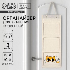 Органайзер для хранения подвесной «Кот», 20x53 см