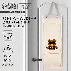 Органайзер для хранения подвесной «Медведь», 20x53 см