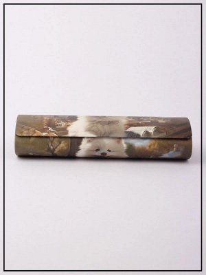 Футляр для очков TAO T-20803V87 C1