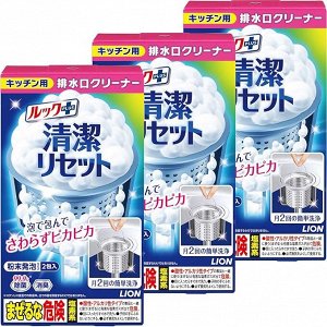 LION Drain Cleaner - пенный очиститель кухонного стока (набор)