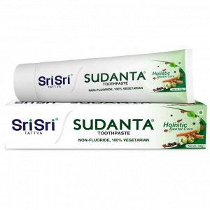 Sudanta Tooth Paste / Шри Шри Суданта Зубная Паста 100гр.