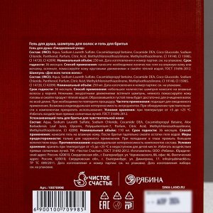 Подарочный набор «Первый во всем», гель для бритья 110 мл, гель для душа и шампунь для волос виски, 2x250 мл, Чистое счастье