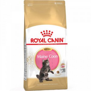 Royal Canin д/котят Kitten Maine Coon д/мейн кунов 10кг (1/1)