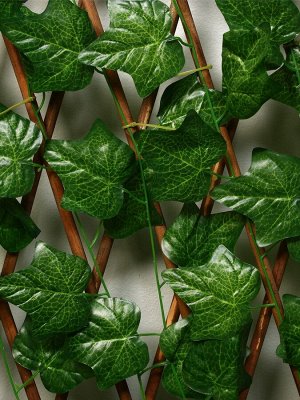 Ограждение декоративное, 175x70 см, «Лист клёна», Greengo