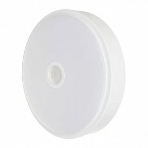 Потолочная лампа Yeelight Xiaomi LED Induction Mini YLXD09YL