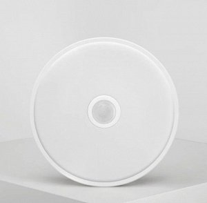 Потолочная лампа Yeelight Xiaomi LED Induction Mini YLXD09YL