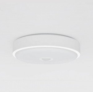 Потолочная лампа Yeelight Xiaomi LED Induction Mini YLXD09YL