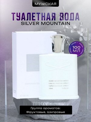 Туалетная вода мужская Silver Mountain, 100 мл