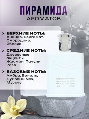 Туалетная вода мужская Silver Mountain, 100 мл