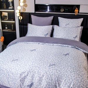 Комплект постельного белья Сатин Magic Sleep MS001