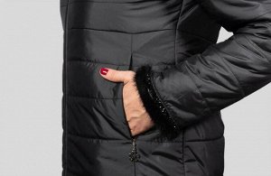 Куртка женская осень-зима, цвет черный