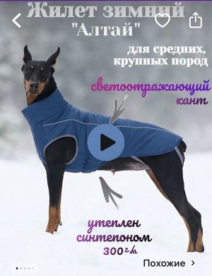 Зимний жилет для собаки