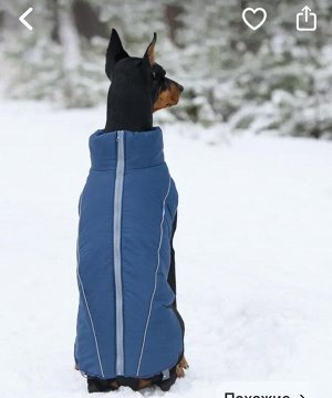 Зимний жилет для собаки