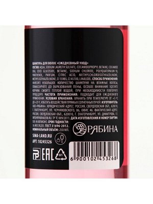 Шампунь для волос «Антистресс», 250 мл, аромат малины, Beauty Fox