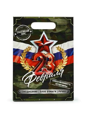 Подарочный набор "23 февраля", ежедневник, блок бумаги и ручка