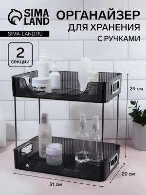 Органайзер для хранения, с ручками, 2 секции, 31x20x29 см, цвет чёрный, серебристый