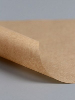 Бумага пергаментная , бурая, в листах 18 х 18 см