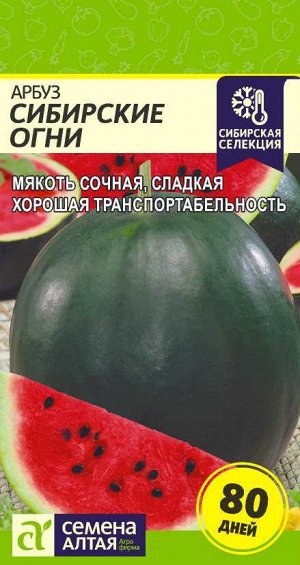 Арбуз Сибирские Огни/Сем Алт/цп 1 гр. Сибирская Селекция!