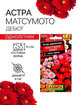 Семена Астра Матсумото Дебют, смесь окрасок , 0,2г