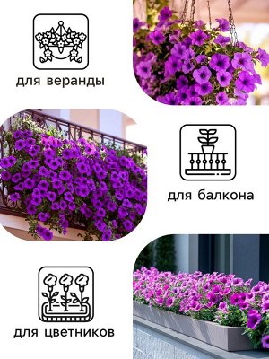 Семена Петуния "Мамбо" F1 фиолетовая многоцветковая, 7 шт