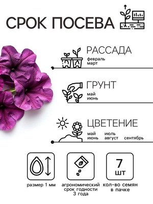 Семена Петуния "Мамбо" F1 фиолетовая многоцветковая, 7 шт