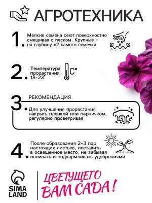 Семена Петуния "Мамбо" F1 фиолетовая многоцветковая, 7 шт