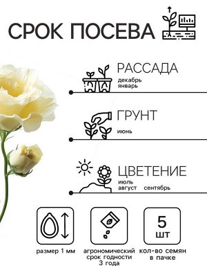 Семена Эустома "Эйбиси" F1 зеленая крупноцветковая махровая, 5 шт