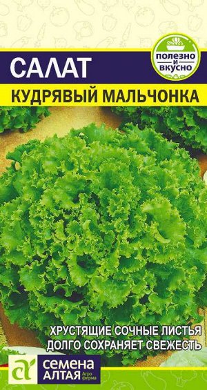 Зелень Салат Кудрявый Мальчонка/Сем Алт/цп 0,5 гр.