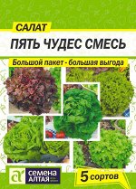 Зелень Салат Пять Чудес Смесь/Сем Алт/цп БОЛЬШОЙ ПАКЕТ!