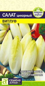 Зелень Салат Цикорий Витлуф/Сем Алт/цп 0,5 гр. НОВИНКА!