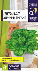 Зелень Шпинат Зимний Гигант/Сем Алт/цп 1 гр. УРОЖАЙ НА ОКНЕ! НОВИНКА!