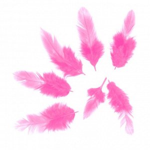 172004 Перья розовые нежные, 14-17 см, 30 шт/уп.