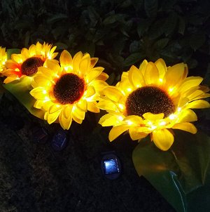 Светящийся цветок