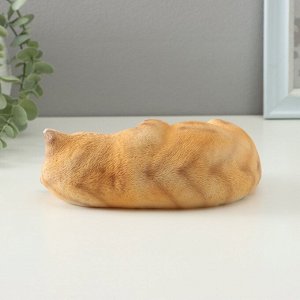 Фигурка полистоун TAKE IT EASY «Котик лежебока», 17x11x6 см