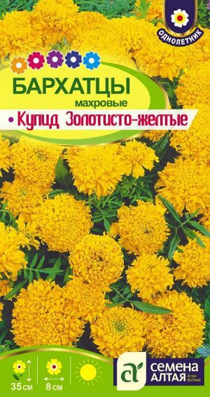 Цветы Бархатцы Купид Золотисто-Желтые/Сем Алт/цп 0,3 гр.