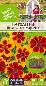 Бархатцы